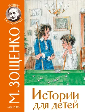 Михаил Зощенко Истории для детей обложка книги