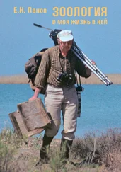 Евгений Панов - Зоология и моя жизнь в ней