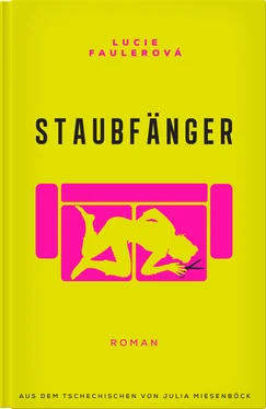 Lucie Faulerová Staubfänger обложка книги