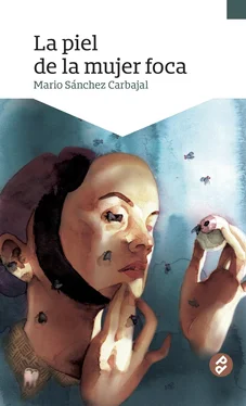 Mario Sánchez Carbajal La piel de la mujer foca обложка книги