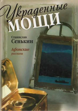 Станислав Сенькин Украденные мощи. Афонские рассказы обложка книги