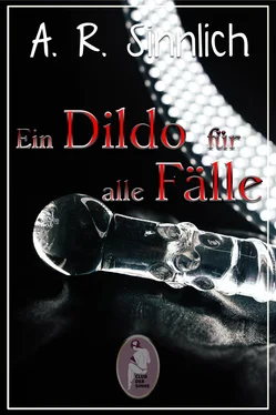 A. R. Sinnlich Ein Dildo für alle Fälle (Erotik, lesbisch, gay, hetero) обложка книги