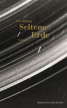 Eva Raisig Seltene Erde обложка книги