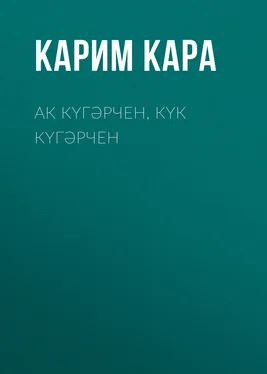 Карим Кара Ак күгәрчен, күк күгәрчен обложка книги