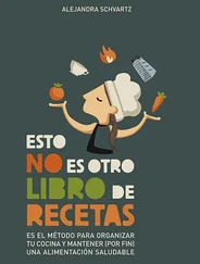 Alejandra Schvartz - Este no es otro libro de recetas