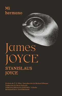 James Joyce Mi hermano James Joyce
