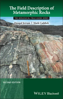 Dougal Jerram The Field Description of Metamorphic Rocks обложка книги