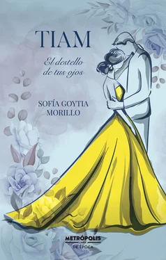 Sofía Goytia Morillo Tiam: El destello de tus ojos обложка книги