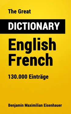 Benjamin Maximilian Eisenhauer The Great Dictionary English - French обложка книги