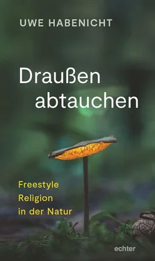 Uwe Habenicht Draußen abtauchen обложка книги