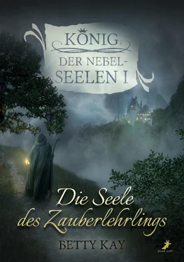 Betty Kay Die Seele des Zauberlehrlings обложка книги