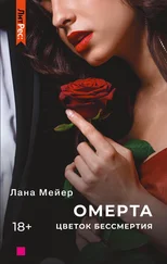 Лана Мейер - Омерта. Книга 2