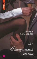 Лана Мейер - Скандальный роман