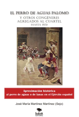 Jose María Martinez Martínez El perro de aguas Palomo y otros congéneres agregados al cuartel обложка книги