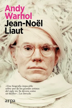 Jean-Noel Liaut Andy Warhol обложка книги