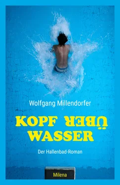 Wolfgang Millendorfer Kopf über Wasser обложка книги