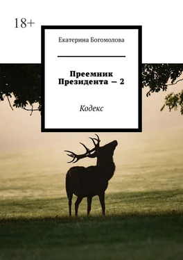 Екатерина Богомолова Преемник президента – 2. Кодекс обложка книги