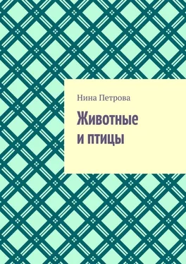 Нина Петрова Животные и птицы обложка книги