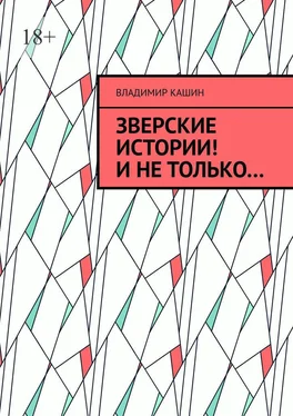 Владимир Кашин Зверские истории! И не только… обложка книги