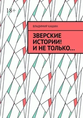 Владимир Кашин - Зверские истории! И не только…