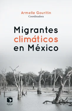 Armelle Gouritin Migrantes climáticos en México обложка книги