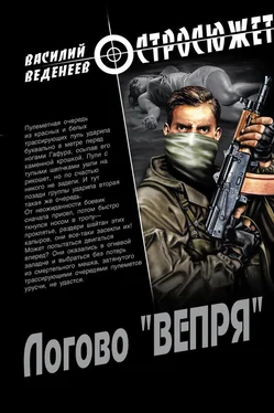 Василий Веденеев Логово «ВЕПРЯ» обложка книги