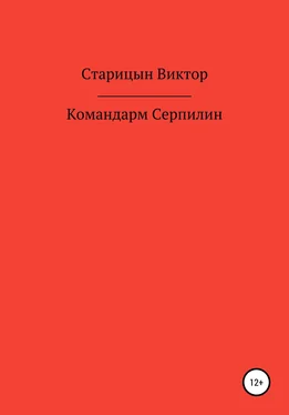 Виктор Старицын Командарм Серпилин обложка книги