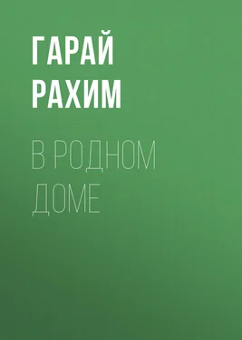 Григорий Родионов В родном доме обложка книги