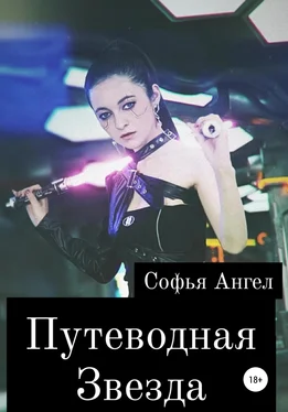 Софья Ангел Путеводная звезда обложка книги