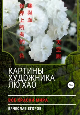 Вячеслав Егоров Картины художника Лю Хао обложка книги