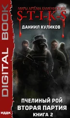 Даниил Куликов - S-T-I-K-S. Пчелиный Рой. Книга 2. Вторая партия