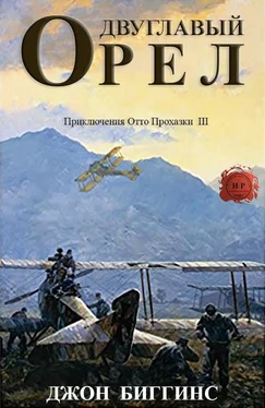 Джон Биггинс Двуглавый орел обложка книги