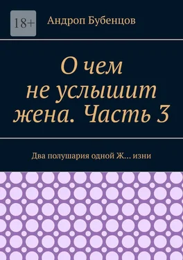 Андроп Бубенцов О чем не услышит жена. Часть 3. Два полушария одной Ж… изни обложка книги