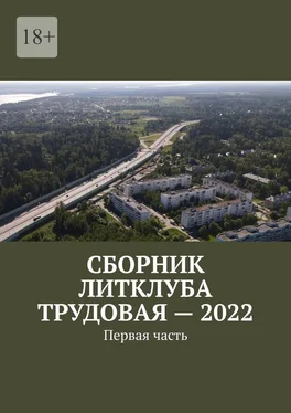 Владимир Броудо Сборник Литклуба Трудовая – 2022. Первая часть обложка книги