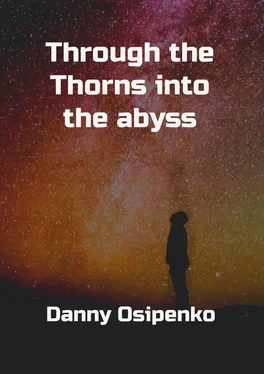 Danny Osipenko Through the Thorns into the Abyss обложка книги