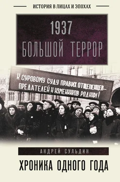 Андрей Сульдин 1937. Большой террор. Хроника одного года обложка книги