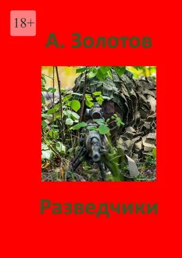 Александр Золотов Разведчики. Приключения обложка книги