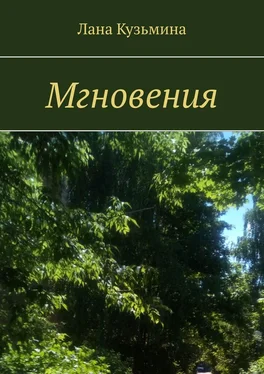 Лана Кузьмина Мгновения обложка книги