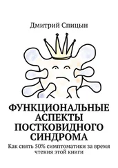 Дмитрий Спицын - Функциональные аспекты постковидного синдрома. Как снять 50% симптоматики за время чтения этой книги