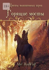 Mel RedWolf - Горящие мосты