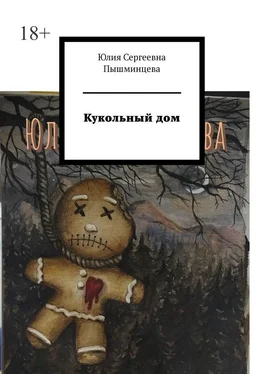 Юлия Пышминцева Кукольный дом обложка книги