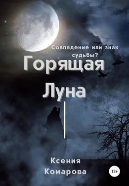 Ксения Комарова Горящая луна обложка книги