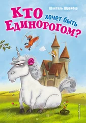 Шанталь Шрайбер - Кто хочет быть единорогом?