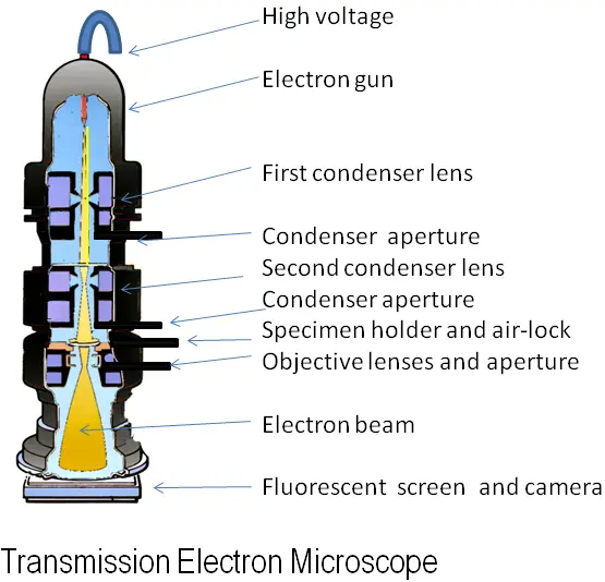 Figure 414 Electron Microscope Source Wikimedia Commons Author Graham - фото 38