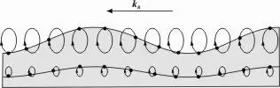 Figure 41 The movement of particles in a liquid transporting a surface wave - фото 25