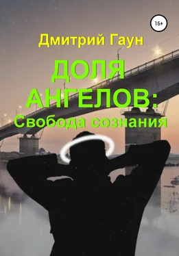 Дмитрий Гаун Доля ангелов: Свобода сознания обложка книги