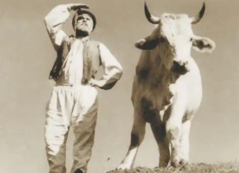 Кадры из фильмов Земля реж А Довженко 1930 и Цвет граната реж С - фото 4