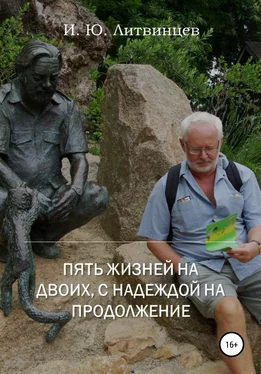 Игорь Литвинцев Пять жизней на двоих, с надеждой на продолжение обложка книги