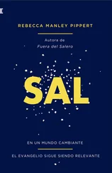 Rebecca Manley Pippert - Sal