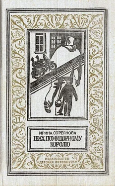 Ирина Стрелкова Шах помидорному королю. Повесть обложка книги